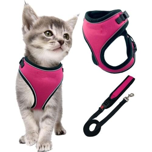 No Pull Cat vest Escape Proof Cat Harness with Leash, Adjustable Cat Walking Jackets, Padded Cat Vest