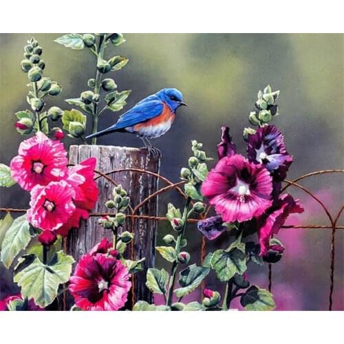 DIY Digital Painting By Numbers Birds flowers oil painting mural Kits Coloring Wall Art Picture Gift frameless