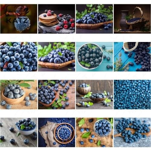 Diamond Painting Art Handmade Diy Home Decoration Modern Fruit a Lot of Blueberry Potted Fashion Diamond Embroidery Home Decor
