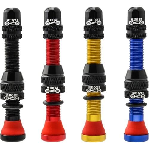 2PCS Bike Schrader Valve 60mm Tubeless Tire A/V Valve CNC Nipple Wheel Valve For MTB Road Bicycle Tubeless Rim Accessories Fun