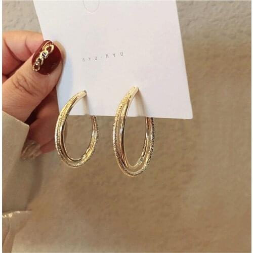 2021 New Double-Layer Metal Frosted Earrings Trendy Design Earrings Simple Temperament Sterling Silver Pin Earrings Womens