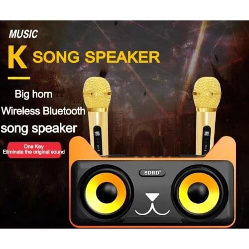 SDRD 305 portable home theater karaoke home KTV outdoor portable dual microphone speaker wireless microphone bluetooth speaker
