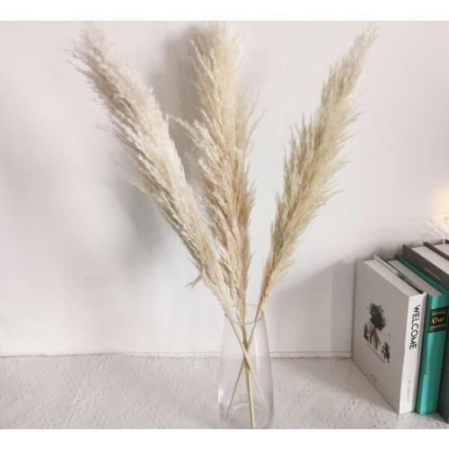 About 80cm Pampas Grass Large Natural Beige Dried Flowers Bouquet Fluffy For Boho Vintage Style Home Decor Wedding Dekoration