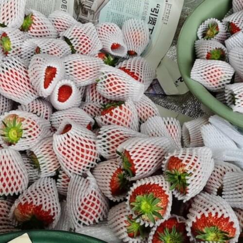 Free shipping 12cm*7cm 1000pcs Fruit foam white EPE Foam mesh sleeve net Thick fruit foam sleeve net for Apple packing material