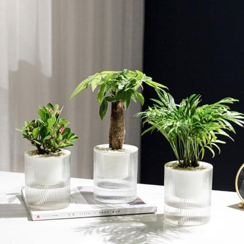 Self Watering Plastic Plant Pot with Wick Rope Clear Water Container 2 Layer Planter Round Flowerpot Basin for Flowers