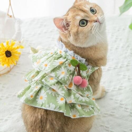 Cat skirt summer Daisy suspender skirt little dog kitten hairless cat spring summer thin pet clothing