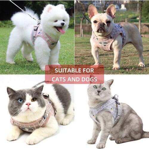Breathable Mesh Puppy Vest Harness Small Dog Collar and Leash Set Summer Pet Outdoors Cute Cat Harness Quick Release Reflective