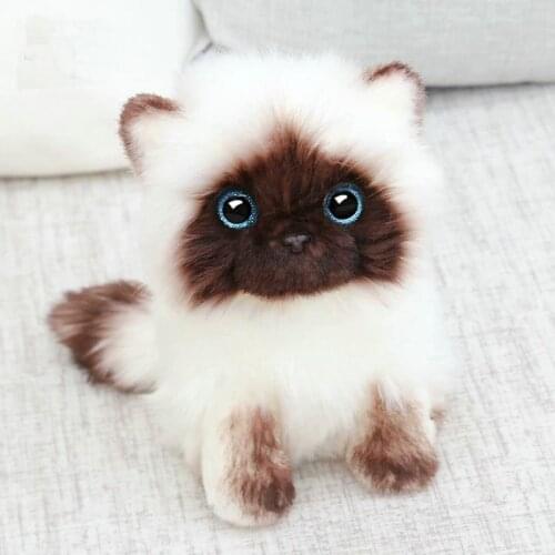 Simulation Siamese cat Plush toy Blue Sequins eyes Cat Plush Doll Brown and White Face Ragdoll plush Cat Home Decor Doll toys