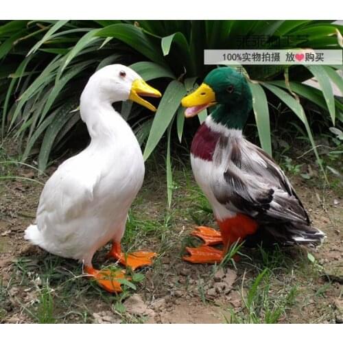 Simulation cute duck 19x14x30cm model polyethylene&furs duck model home decoration props ,model gift d833