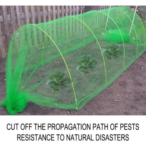 Insect Protection Net Bug Insect Bird Net Barrier Vegetables Fruits Flowers Plant Protection Greenhouse Garden Netting