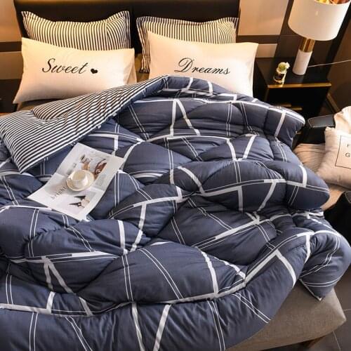 Luxury All Seasons Comforter Core Thickened Aloe Cotton Feather Blanket Quilts Inner Duvets Insert Hotel Home Classic Quilt Core