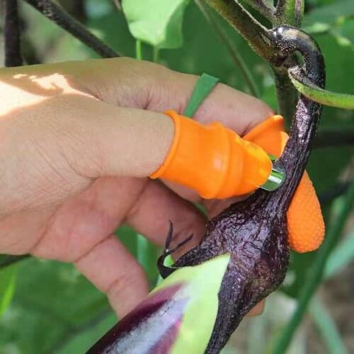 BOUSSAC Supports And Garters For Plants