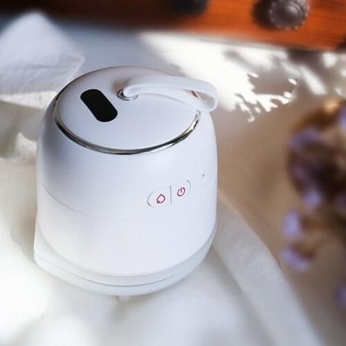 Mini Electric Iron Portable Travel Garment Steamer Steam Iron Wireless Ironing Machine