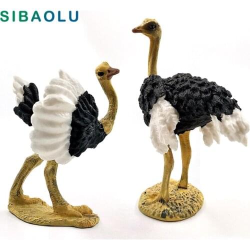 Artificial Ostrich Bird Simulation Animal model figurine home decor miniature fairy garden decoration accessories modern Pvc toy