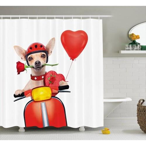 Dog Driver Shower Curtain Romantic Chihuahua with Balloon Rose Flower Valentines Love Date Celebration Waterproof Bath Curtains