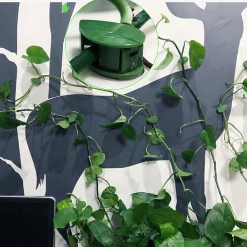 Green Radish Retainer Vine Green Plant Fixture Clip Plant Climbing Wall Self-Adhesive Fixture Vine Buckle Hook Garden Plant Tool