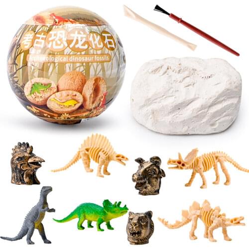 Пособия по биологии Effosola China At AliExpress