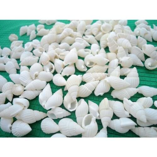 HappyKiss 50pcsNatural conch shells phnom penh screw Millet screw white Rural decoration Shell accessories DIY material