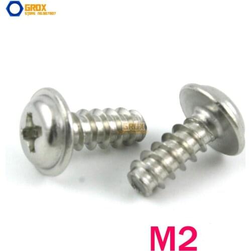 M2 Pan Washer Head Flat End Phillips Self Tapping Screw