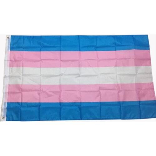 50 Pcs Rainbow Flags Transgender Pride Flag Gay Lesbian LGBT Gay Pride Flags Polyester Gay Pride Banners for Decoration SN752