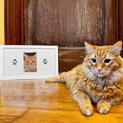 Non-toxic Pet Footprint Dog Cat Paw Print Toys Baby Handprint Ink Pad No Touch Skin Inkless Newborn Souvenir Pet Supplies