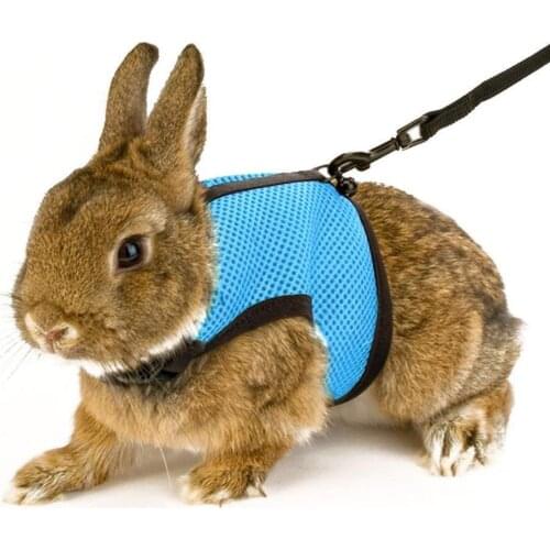 Rabbit Guinea Pig Hamster Pet Harness Vest Mesh Chest Strap with Traction Leash