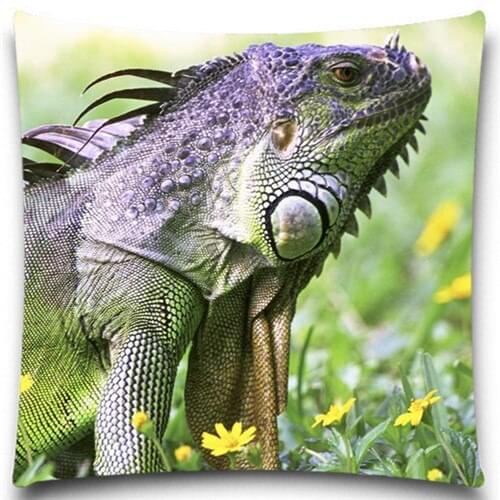 Chameleon/Frog/Butterfly Pattern Printed Cushion Cover Lovely beetle Cotton polyester Home Car Decoration 5 size 9 style