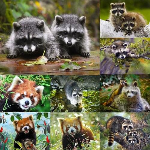 5D DIY Diamond Embroidery Raccoon Full Square Round Rhinestone Mosaic Painting Cross Stitch Animals Diamond Kit Home Decor