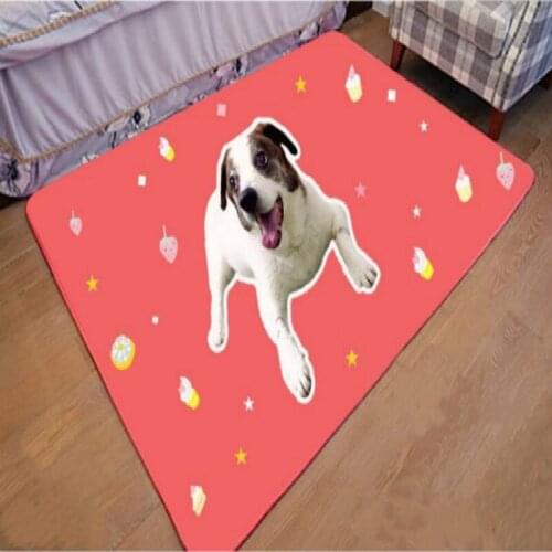 DIY PET mats To customize pet car pet mat cartoon cartoon mat bed mats gifts