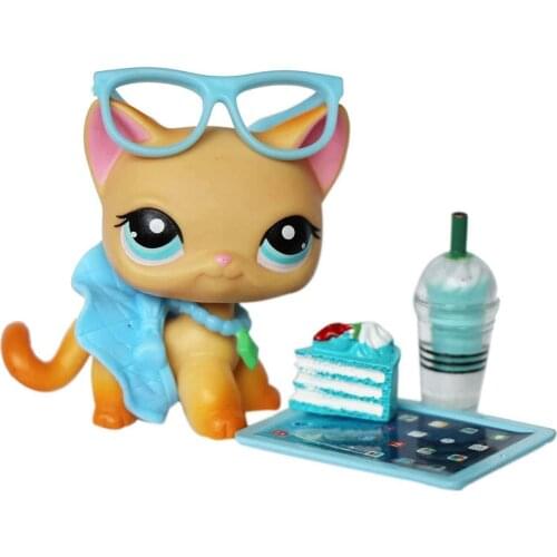 Pet Shorthair Cat #339 With Magnet With 6 PCS Accessories Lot Glasses Skirt Necklace Laptop Cake Food Drink Blue Outfit Set