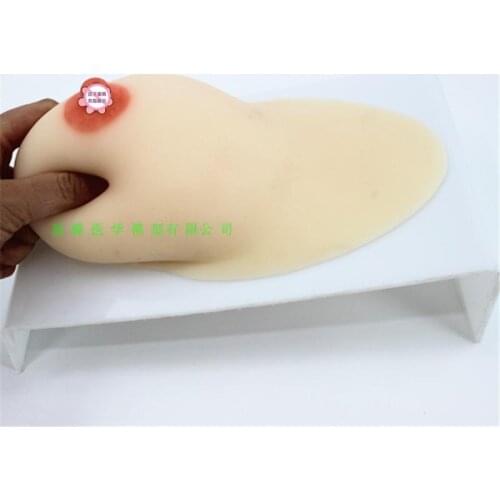 Simulation female breast model single/double Silicone breast educational teaching model