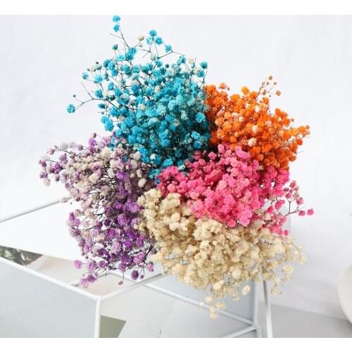30-35 cm Natural Fresh Dried Preserved Flowers Real Baby Breath Flower Branches For DIY Craft Eternal Flower Wedding Home Decor