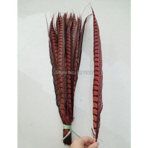 25pcs/lot!70-80cm long Perfect lady amherst Pheasant Tail Feathers for Costumes decor,dyed brown colour,freeshipping
