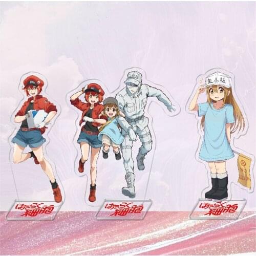 Anime Cells at Work Figure Hakkekkyuu Seqkeqkyuu Kesshouban Action Figure Acrylic Stand Model Toy Desk Decoration Signs Gifts