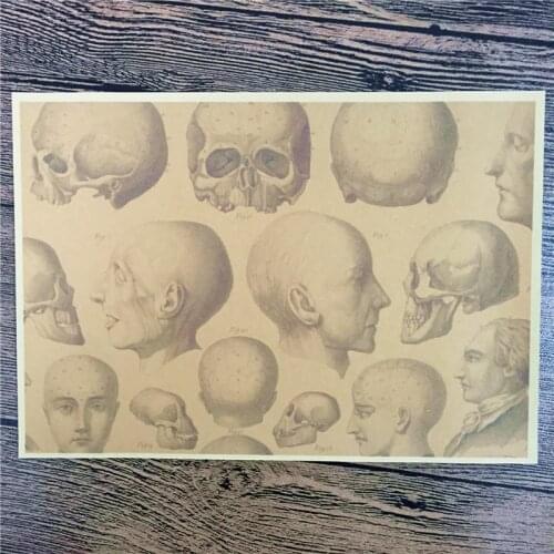 CTF-089 High quality 100% "Display Model skull" kraft paper vintage poster pictures for home decor house bar cafe 42x30 cm