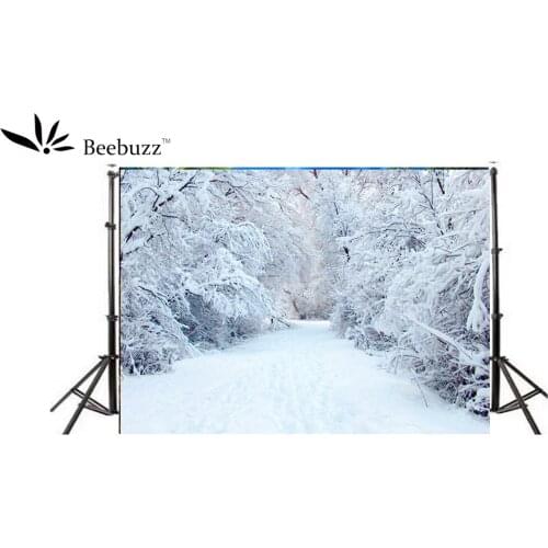 Beebuzz photo backdrop white snow background in winter