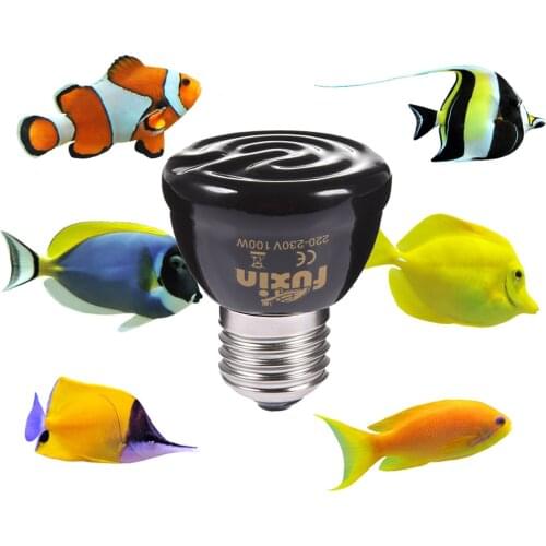 W 50W 75W 100W E27 Farinfrared Ceramic For Heating Lamp For Turtle Lizard Spider Reptile Light Box Warmer Bulbs robust