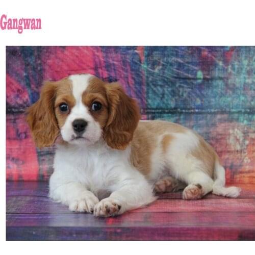 5D DIY full diamond painting mosaic Cavalier King Charles Spaniel diamond rhinestone embroidery cross stitch cute pet full drill