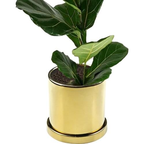 5-inch gold silver ceramic juicy cactus planter plant container flower pot and saucer