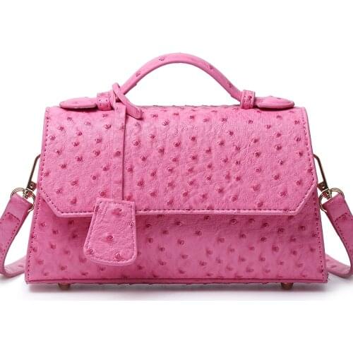 New Arrival Younger Lady Clutch Bag Luxury Cross Body Bag Ostrich Leather Bags Python Pattern Women Handbag INS Hot Sales Bags