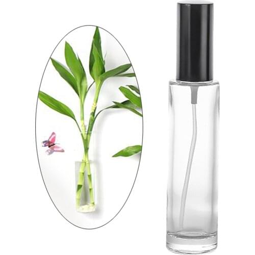 Transparent Glass Bottle for Essential Oils Refillable Empty Bottle with Cap, Perfect for Storing Water, Fragrance and Perfume