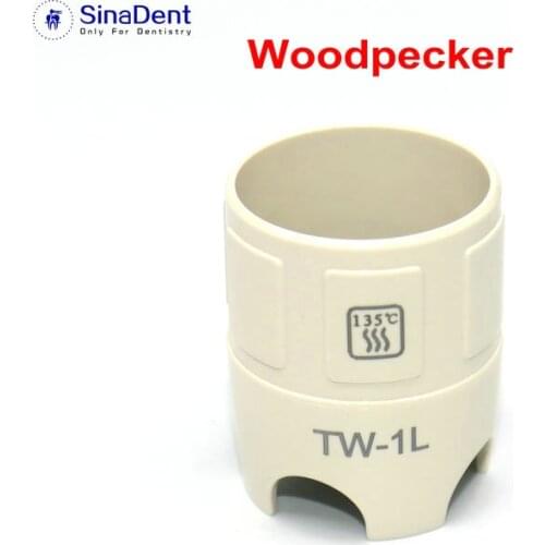 1Pcs Dental Ultrasonic Scaler Torque Fit Woodpecker EMS Satelec Dental Scaler Wrench Dental Instruments