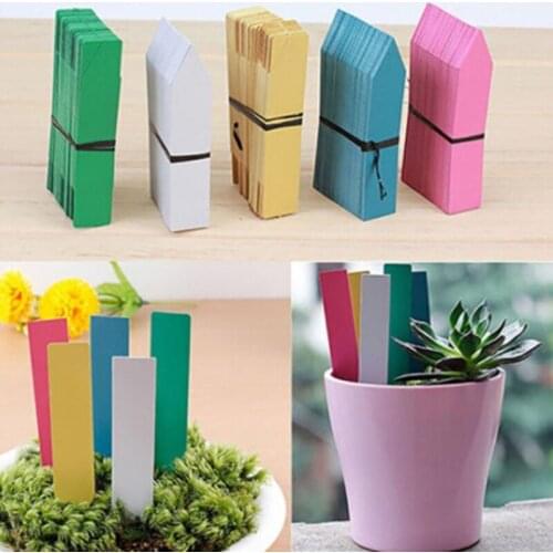 100 PCS Reusable PVC Plants Hang Tag Labels Tree Fruits Seedling Garden Flower Pot Plastic Tags Sign Classification Small Tools