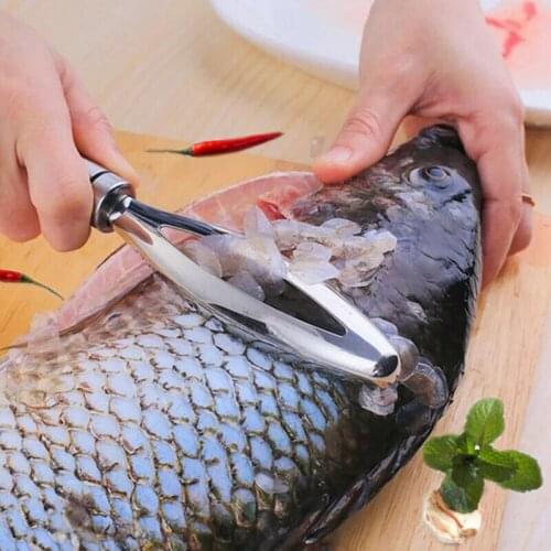 LImit 100 Stainless Steel Fish Scale Scaler Scraper Remover Cleaner Plane Kitchen Tool