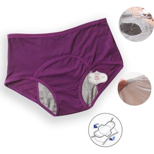 Leak Proof Menstrual Period Panties Women Underwear Physiological Pants Cotton Health Seamless Briefs High Waist Warm Female