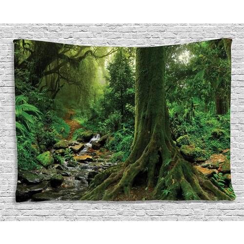 Apartment Decor Tapestry Rain Forest Scene with River in North Forest in Early Morning Humid Fog Print Wall Hanging for Dorm