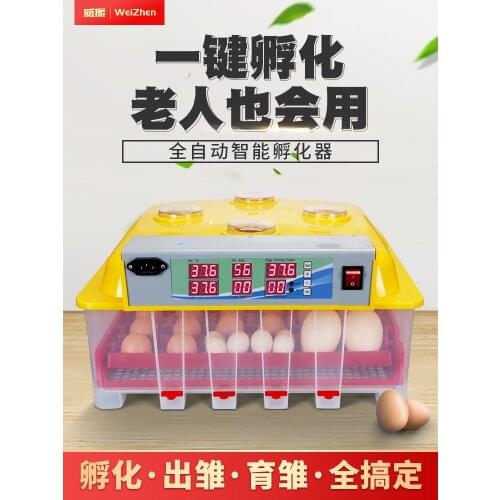 Automatic Incubator 48 Household 36 Chicken Duck Goose Pigeon Bird 48 Small Incubator