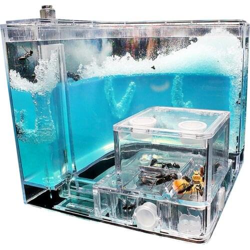 Ant Home Observation Maze Science Education Accessory Farm Acrylic Insect Test Tube Moisture Big Space Ant Nest Ants Villa House