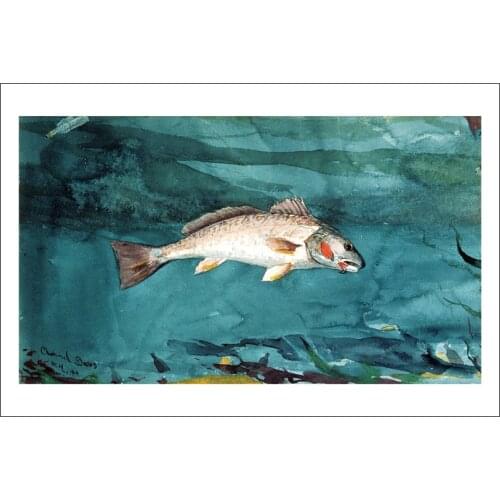 Seascape poster canvas paintings scenery prints watercolor picture Imagich Top 100 prints channel bass c1904 by Winslow Homer