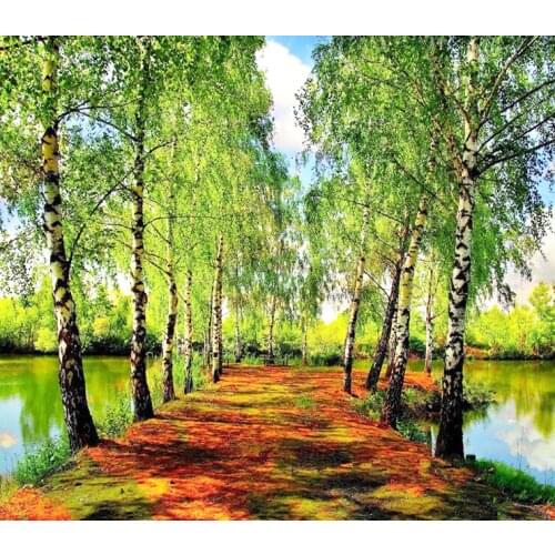 A3162 11CT/14CT/18CT/25CT/28CT night snowing patterns Counted Cross Stitch DIY Cross Stitch Kits Embroidery Needlework Sets